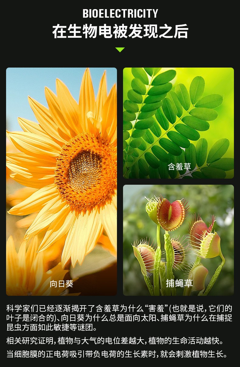 促进植物生长电子发生器